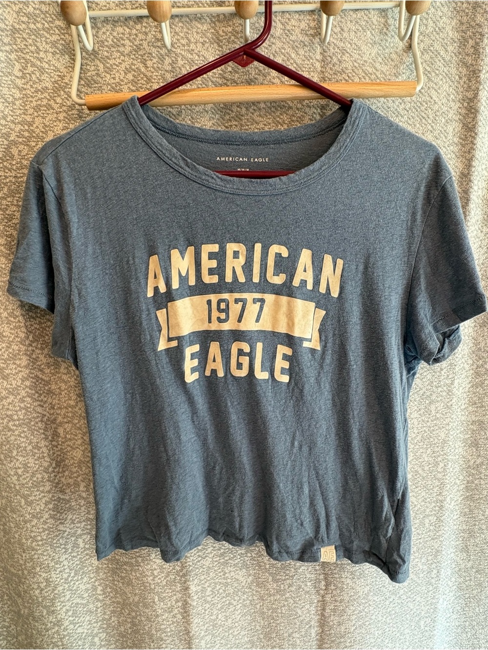 American Eagle Outfitters Blue Short-Sleeve Tee with Cream Graphic